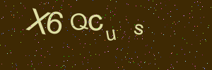 Validation image