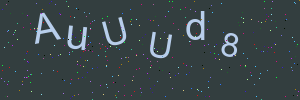 Validation image